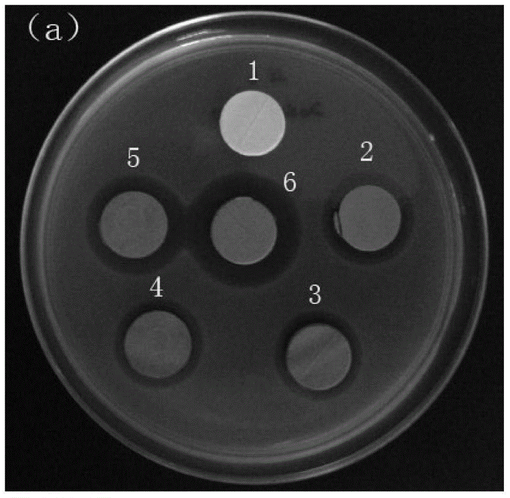 Method for preparing shell-loaded nano-silver composite antibacterial material with assistance of microwaves