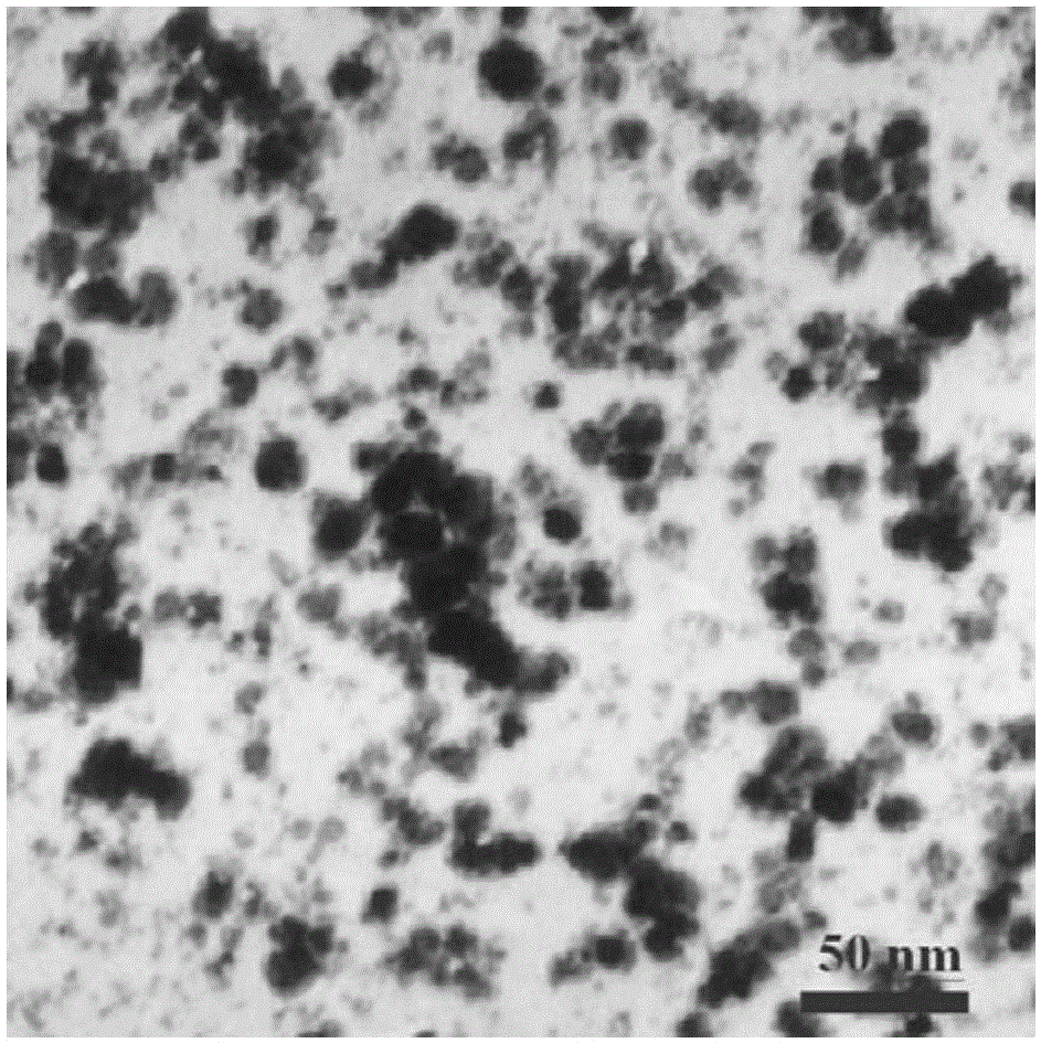 Multiferroic liquid and preparation method thereof