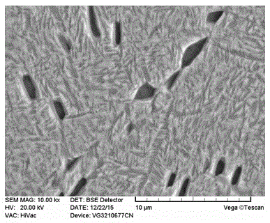 Process for heat treatment of high-performance Ti2AlNb powder alloy