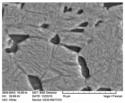 Process for heat treatment of high-performance Ti2AlNb powder alloy