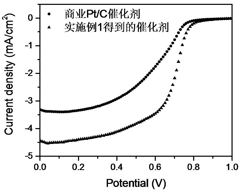 Composite material based on metal single atoms and graphene as well as preparation method and application of composite material