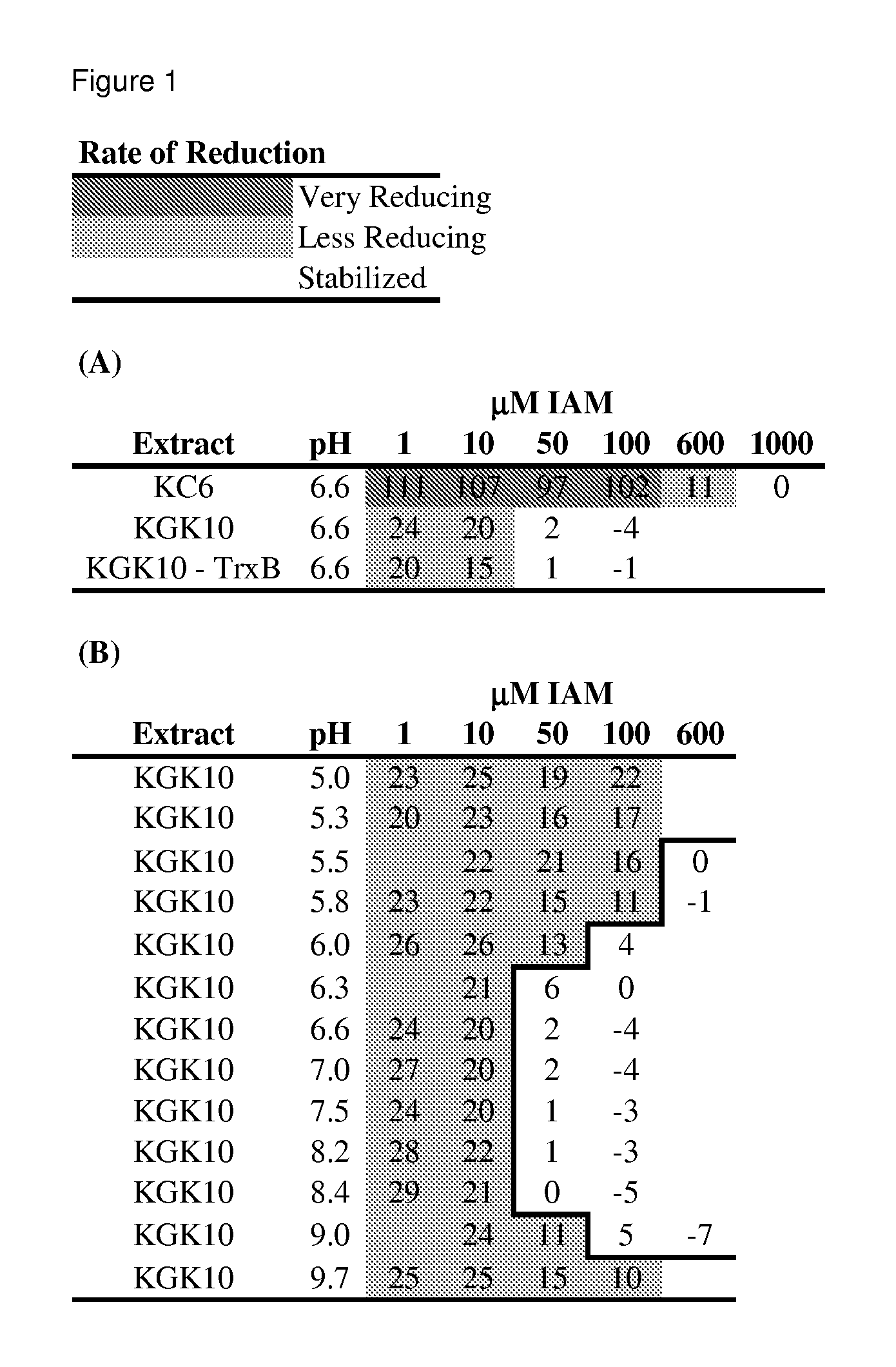 Enhanced cell-free synthesis of active proteins containing disulfide bonds