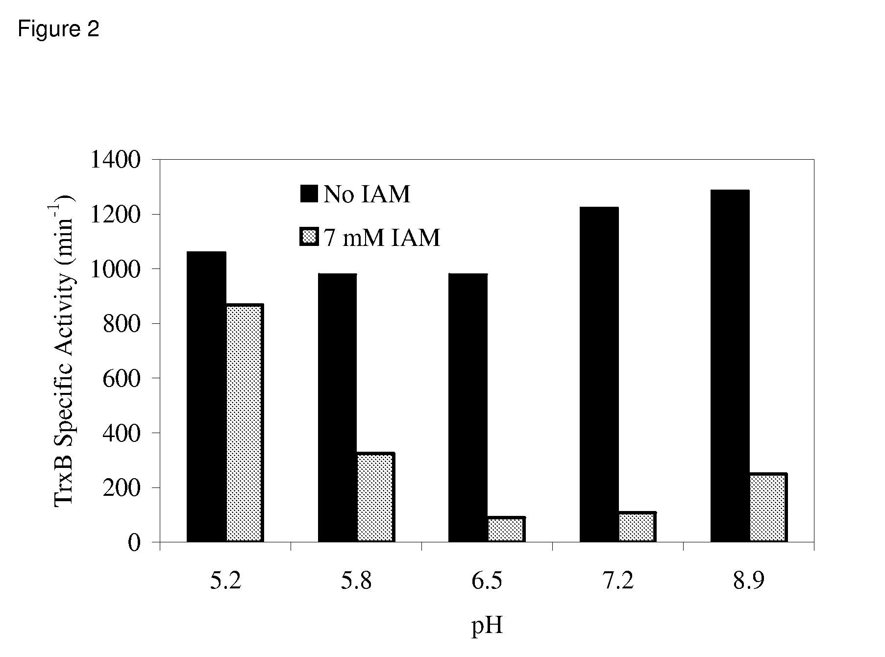 Enhanced cell-free synthesis of active proteins containing disulfide bonds