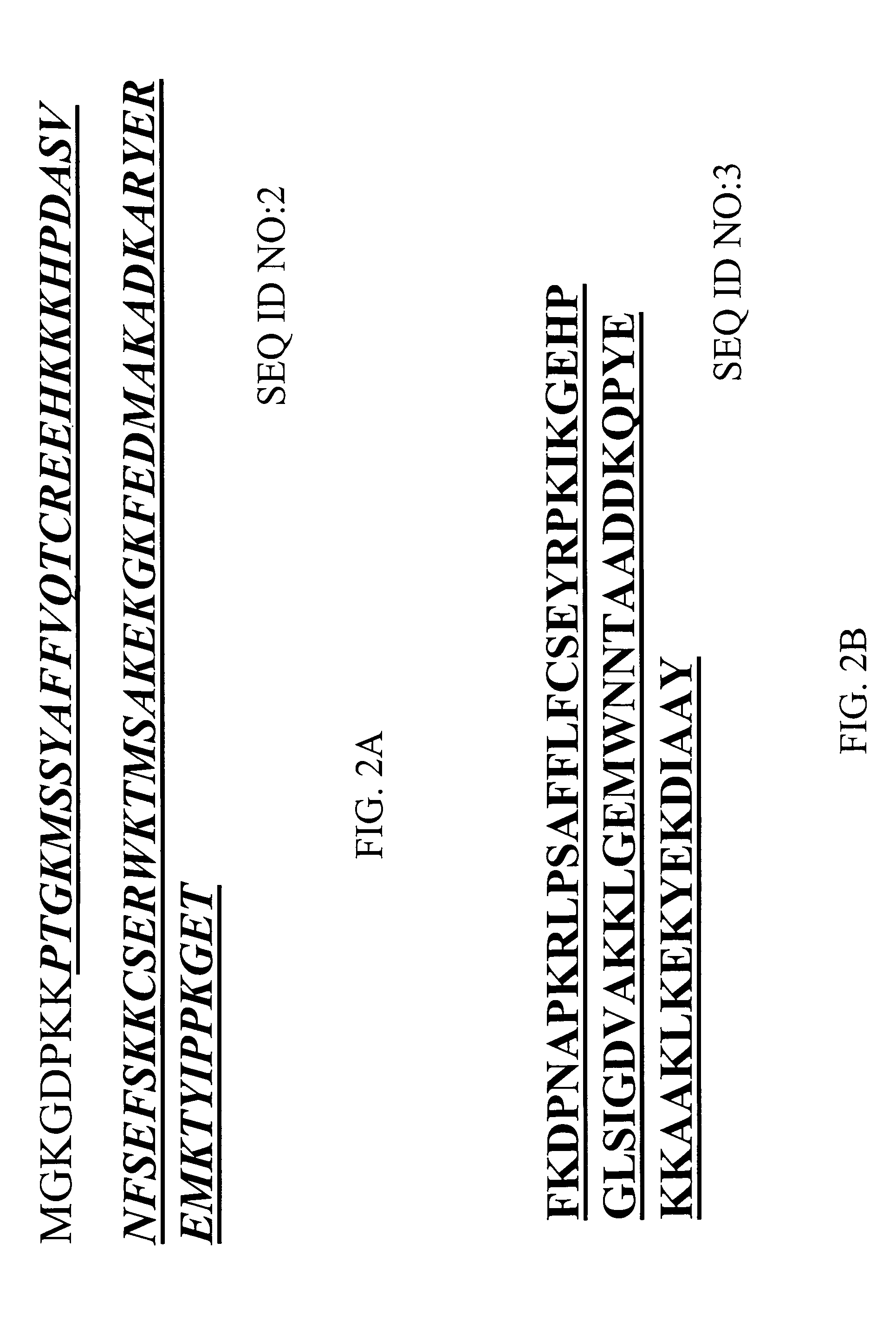 Monoclonal antibodies against HMGB1