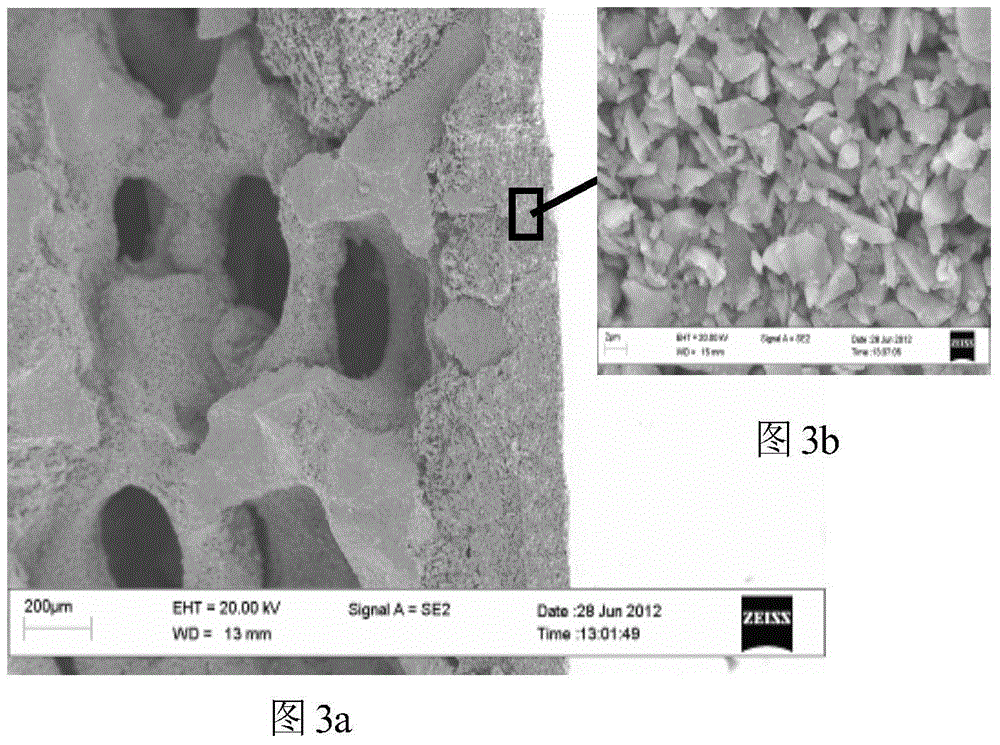 Pure foam silicon carbide support membrane tube with three-gradient pore structure and preparation method