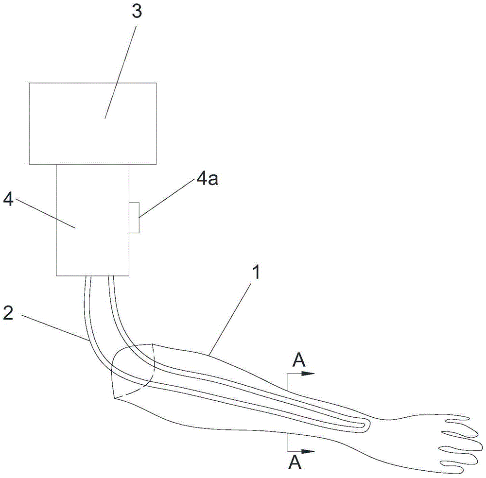 Arm vein puncture model