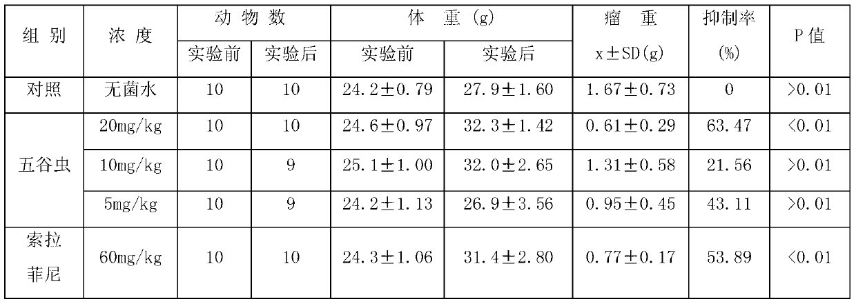 Novel antitumor application of maggot