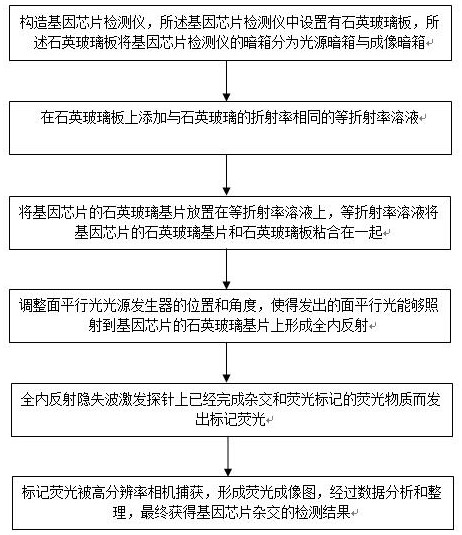 Method for Detecting Gene Chip Hybridization Result by Total Internal Reflection