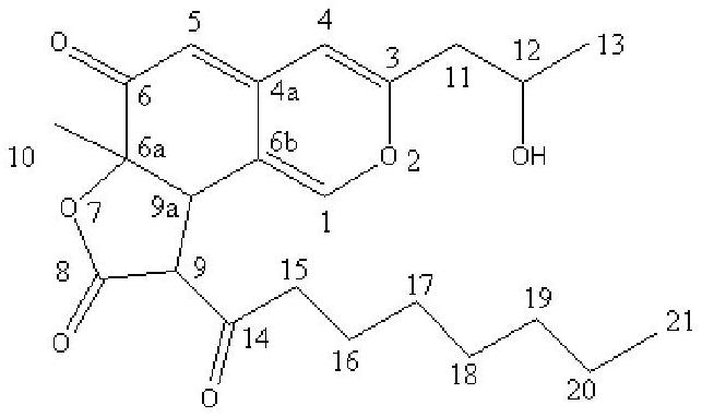 Monascus B with glycosidase inhibition activity and immunomodulatory activity and preparation method of monascus B