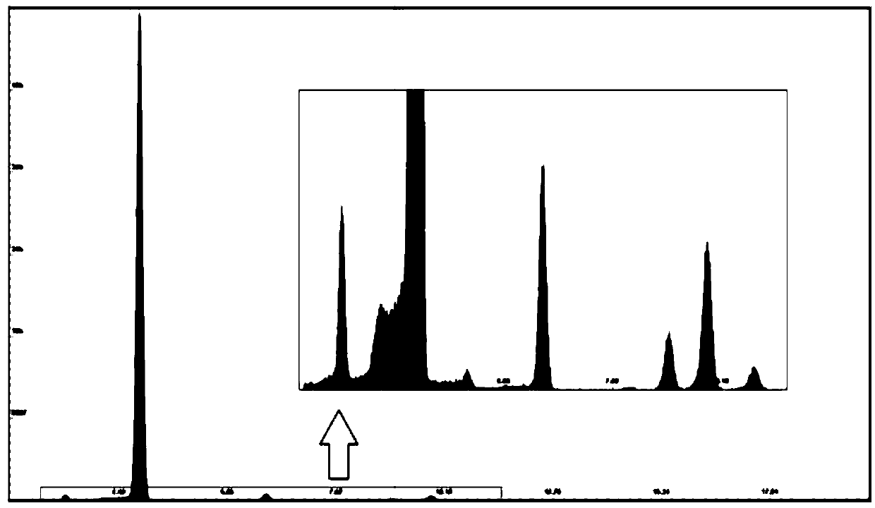 Special X-ray fluorescence energy spectrometer for high-precision cement industry