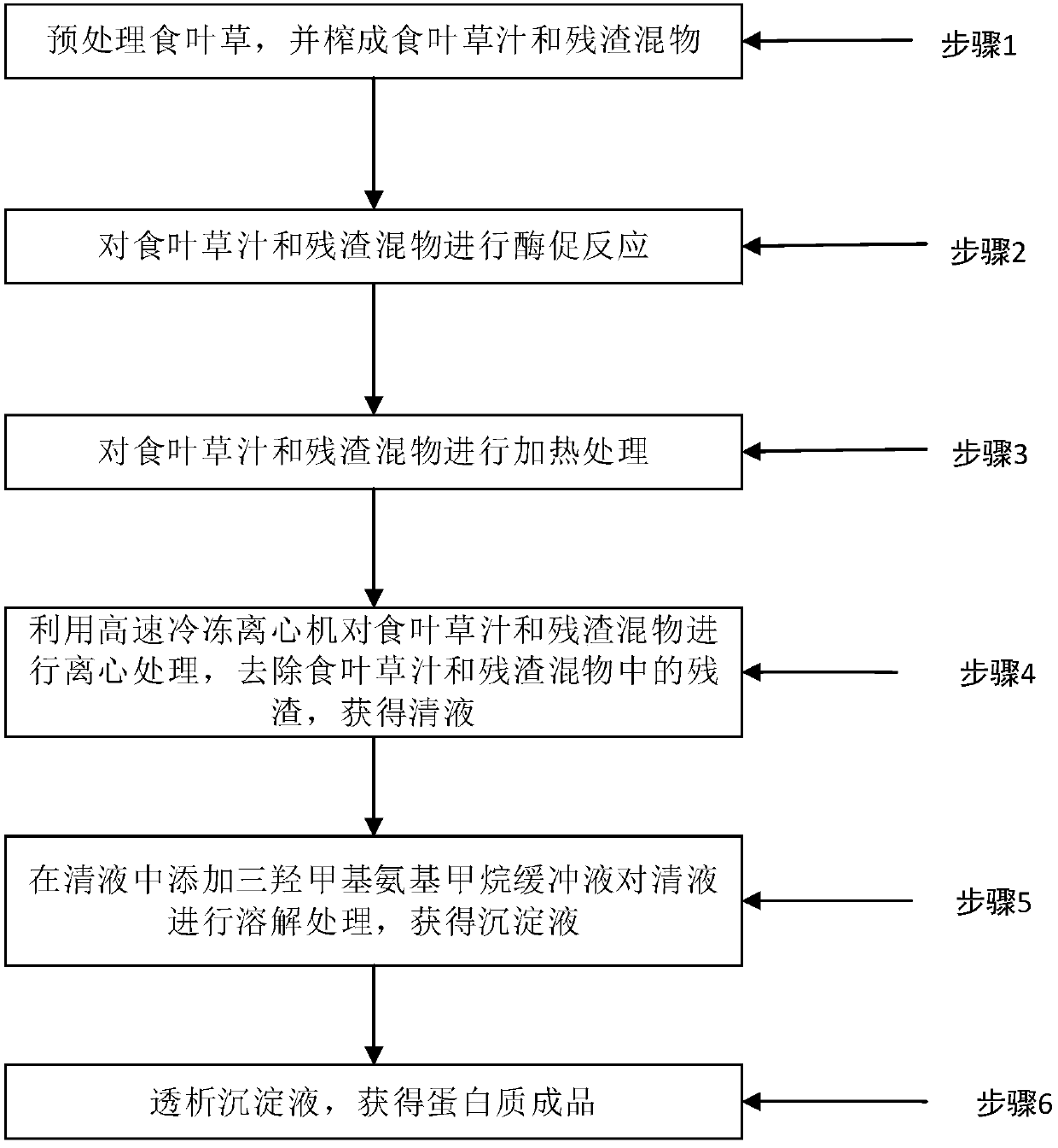 Method for extracting protein from azolla filliculoidas and drink made by utilizing extracted protein