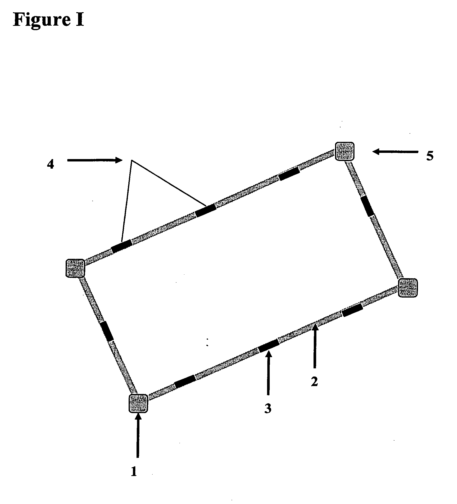 Portable adjustable boundary lines