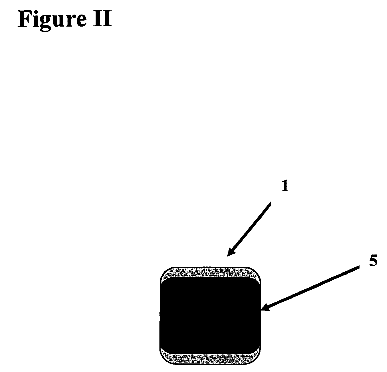 Portable adjustable boundary lines