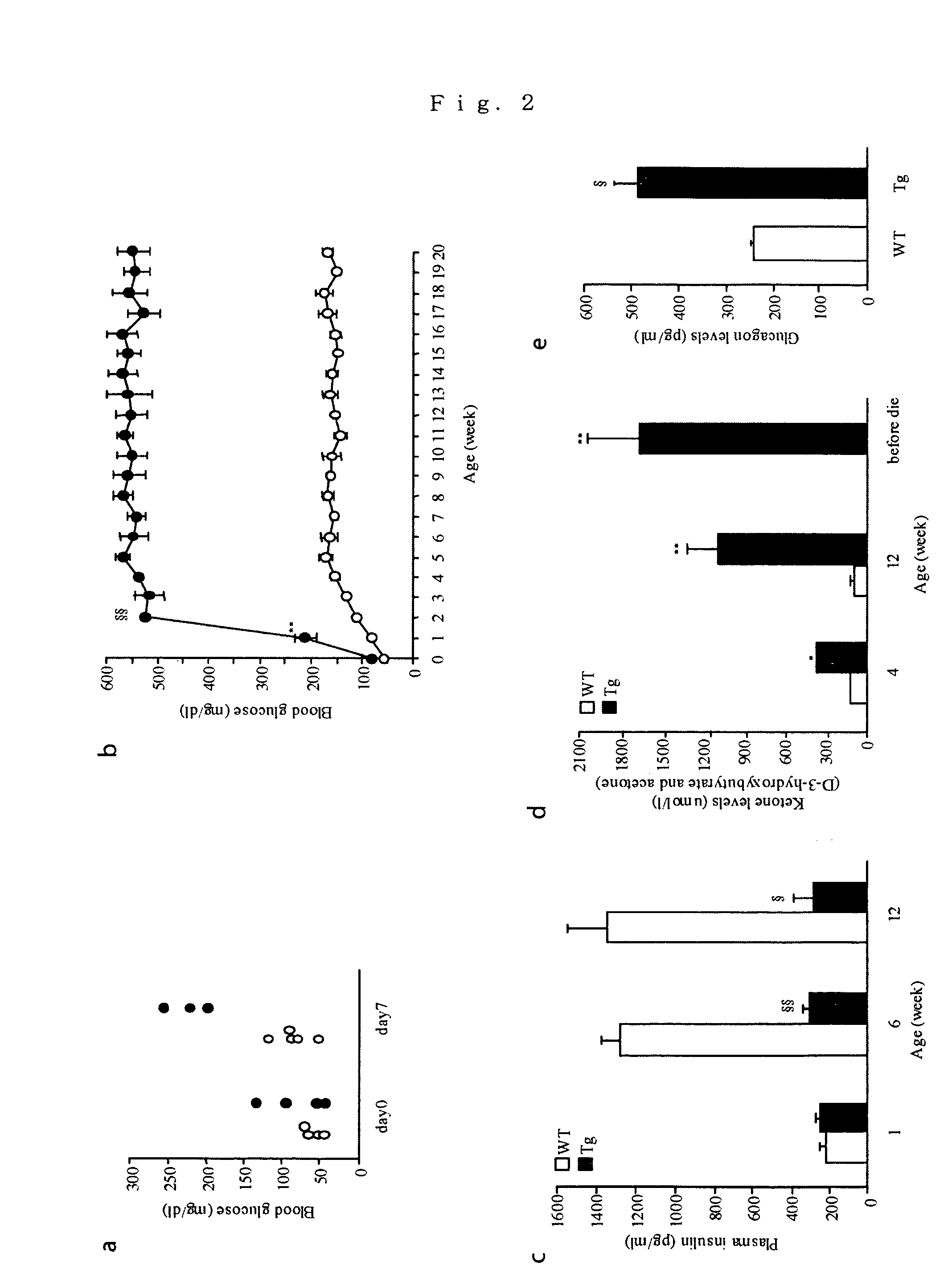 Nephropathy-associated gene