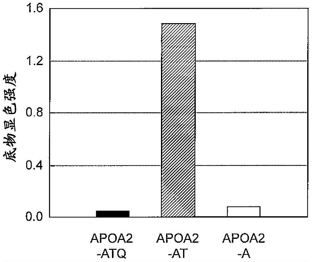 Method for detecting pancreatic tumor, antibody, and pancreatic tumor detection kit