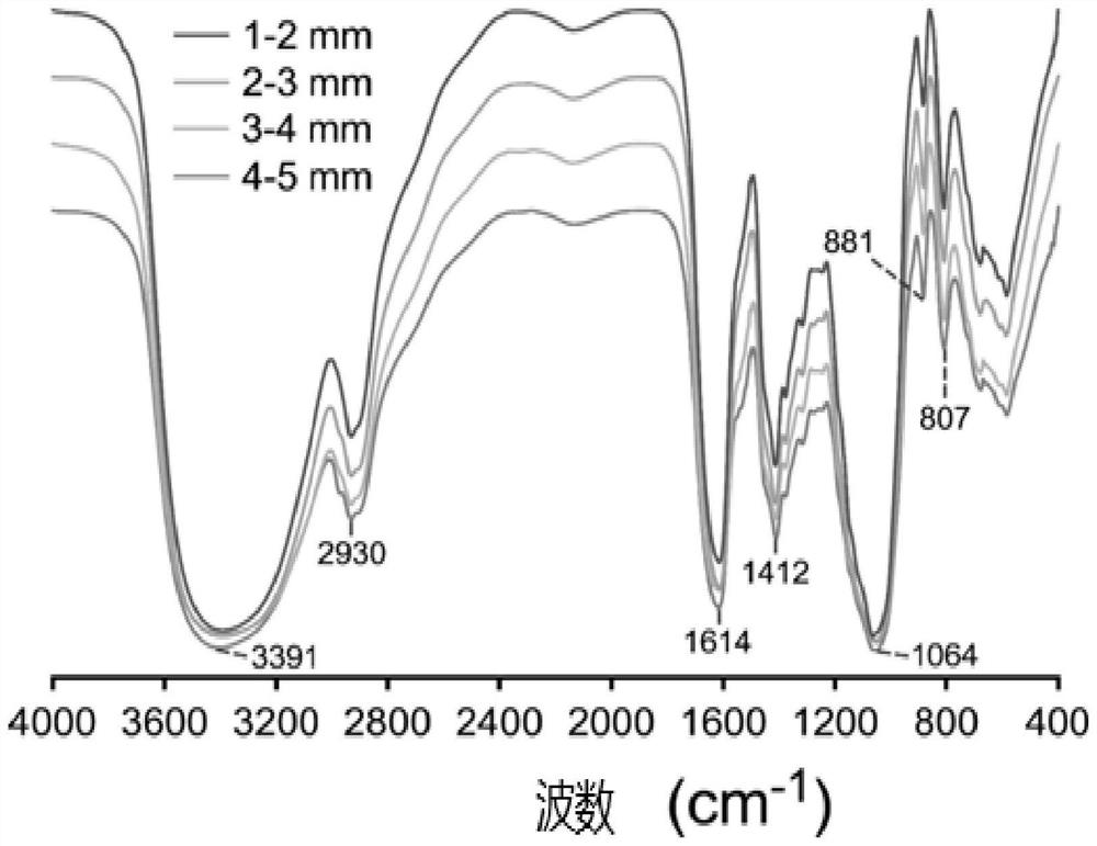 Nostoc sphaeroids kutz oligosaccharide as well as preparation method and application thereof