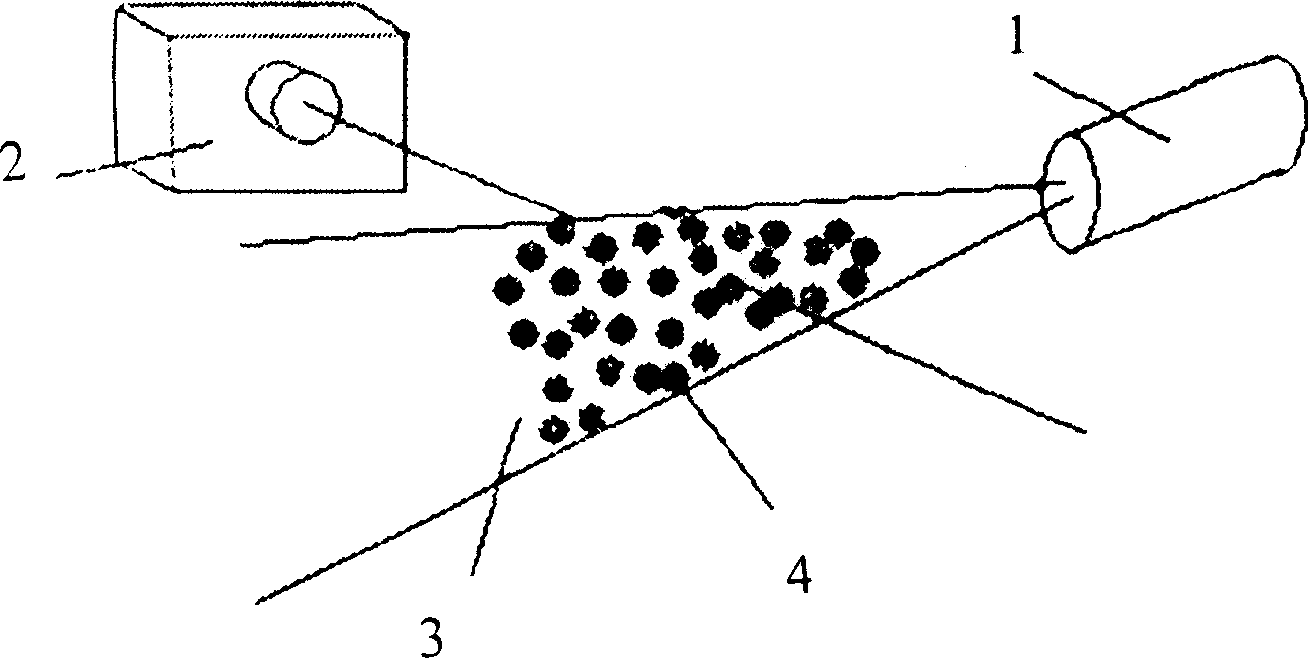 Image instrument for sand suspended in water