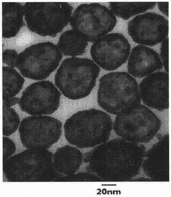 Preparation of thermosensitive liposome co-loaded with hollow gold nanoparticles and tumor therapeutic agents and triple integration application thereof