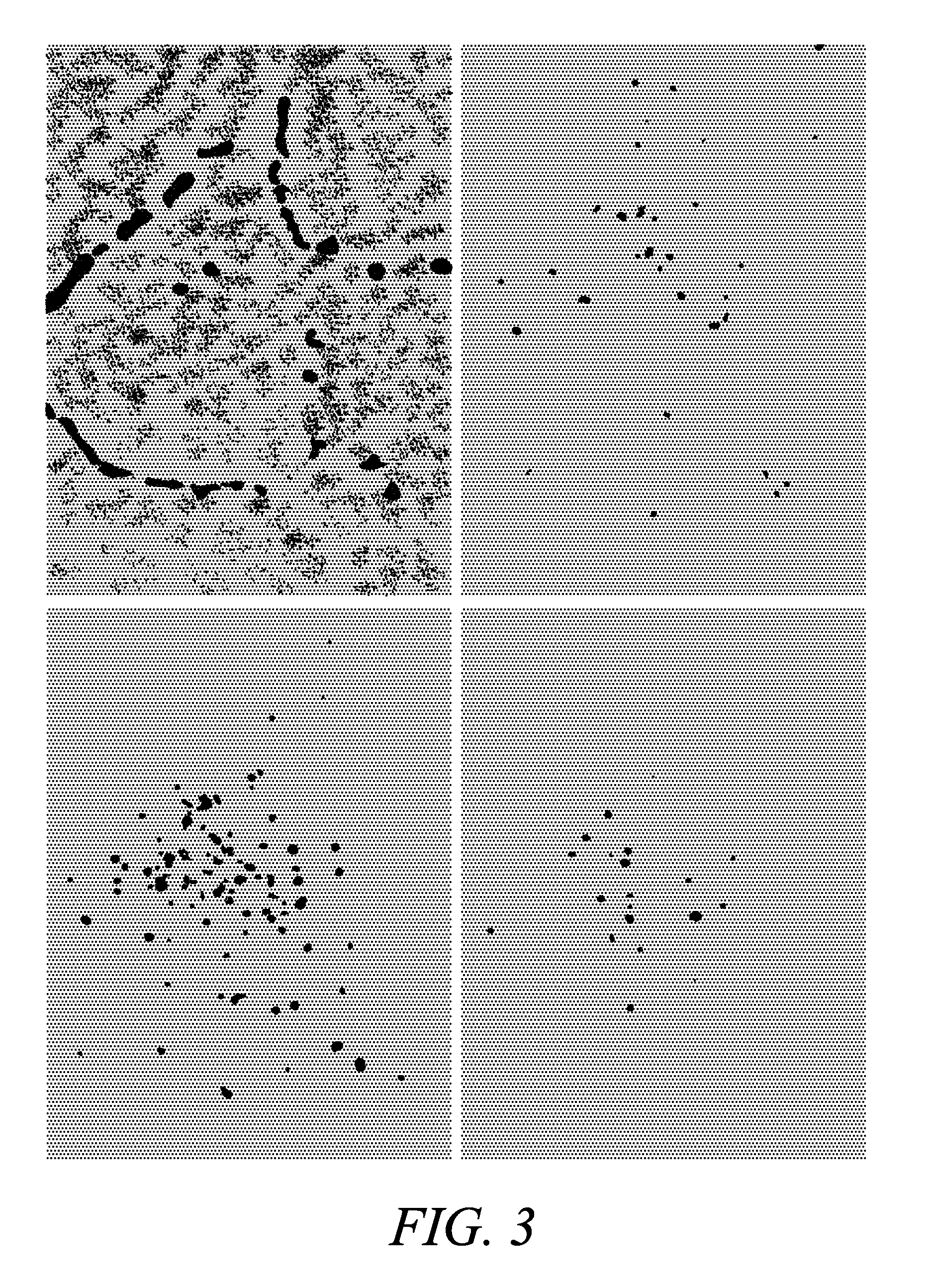 Zinc binding compounds and their method of use