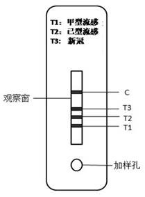 Time-resolved fluorescence immunochromatographic test strip for detecting influenza A virus, influenza B virus and novel coronavirus antigen and preparation method thereof