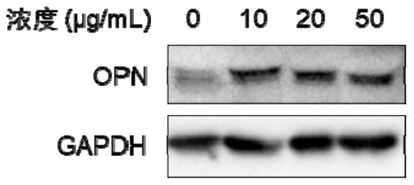 A metal-catechin composite nanomaterial and its preparation method and application