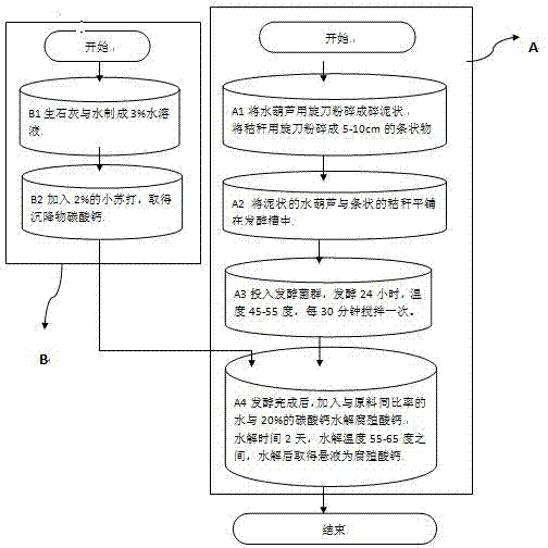 Enzymatic calcium humate organic fertilizer and preparation method thereof