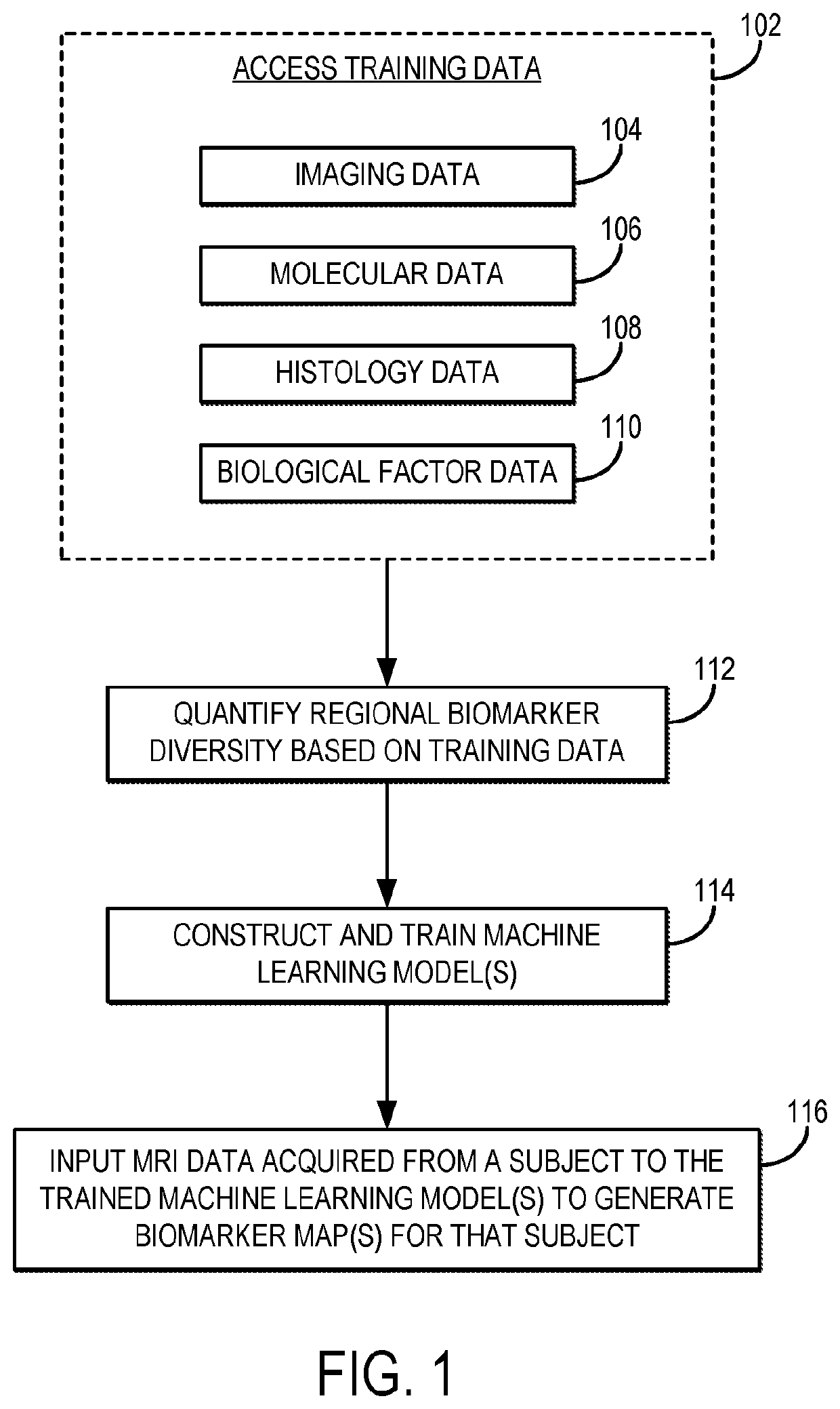 Systems and Methods for Quantifying Multiscale Competitive Landscapes of Clonal Diversity in Glioblastoma