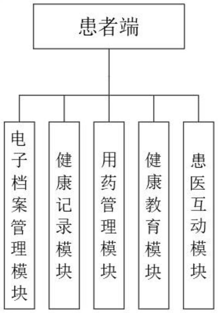 Clinical diagnosis and drug use analysis system based on traditional Chinese medicine knowledge