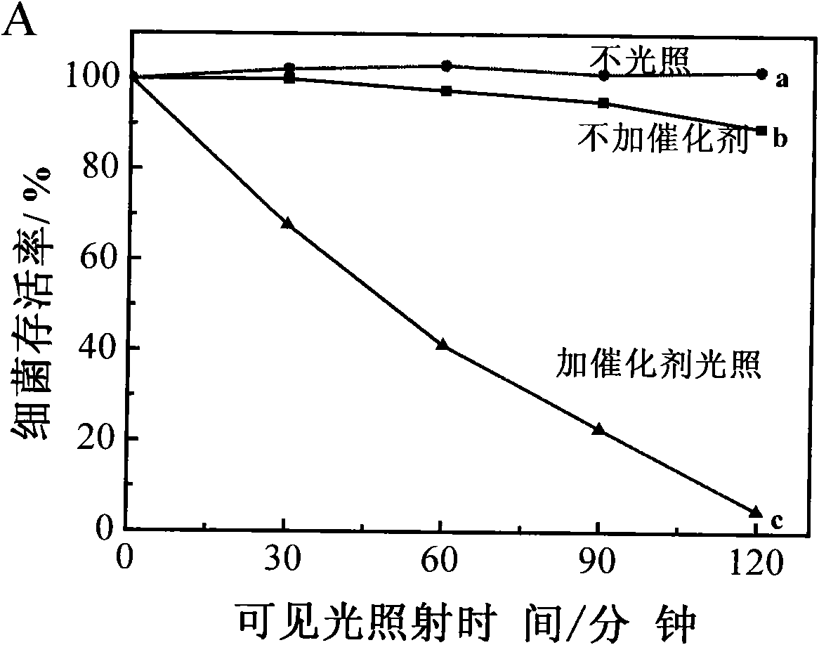 Photocatalysis antibacterial material excited by visible light and application thereof