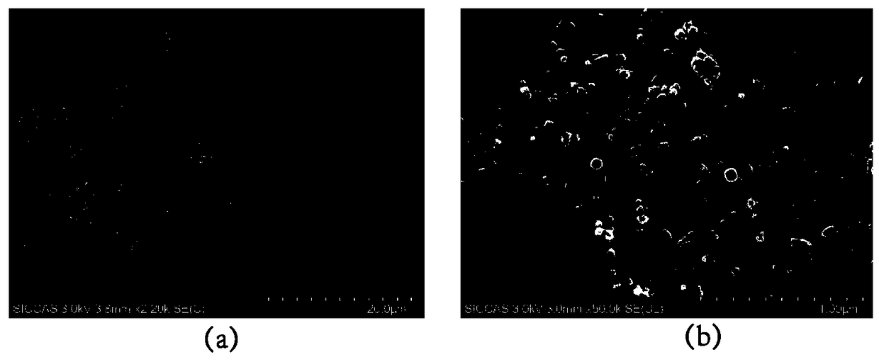 Micrometer/nanometer multi-level structure titanium dioxide coating with excellent biocompatibility, and preparation method thereof