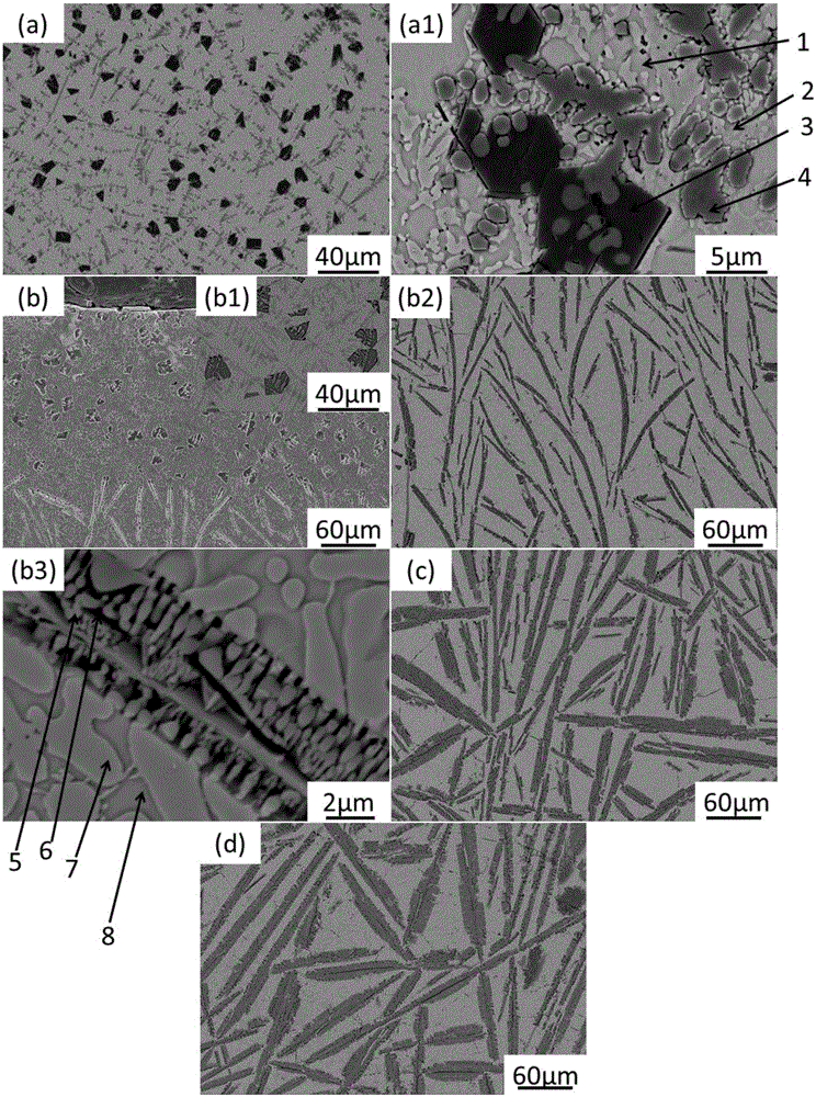 In-situ synthesis TiB2/TiC reinforced Ti2Ni/TiNi biphase metal compound base composite coating and preparation method