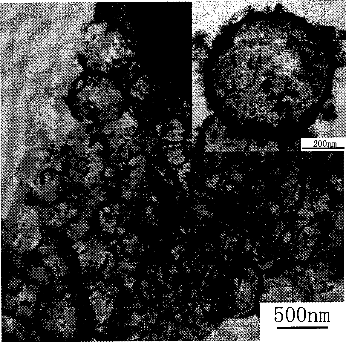 Magnetic titanium dioxide hollow ball and preparation method thereof