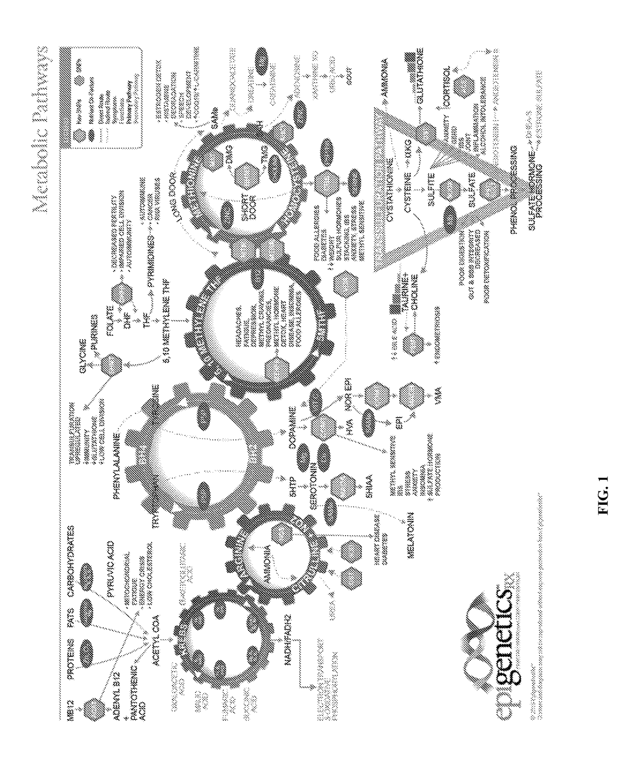 Stable 5-methyltetrahydrofolate formulations to moderate methylenetetrahydrofolate reductase associated polymorphisms