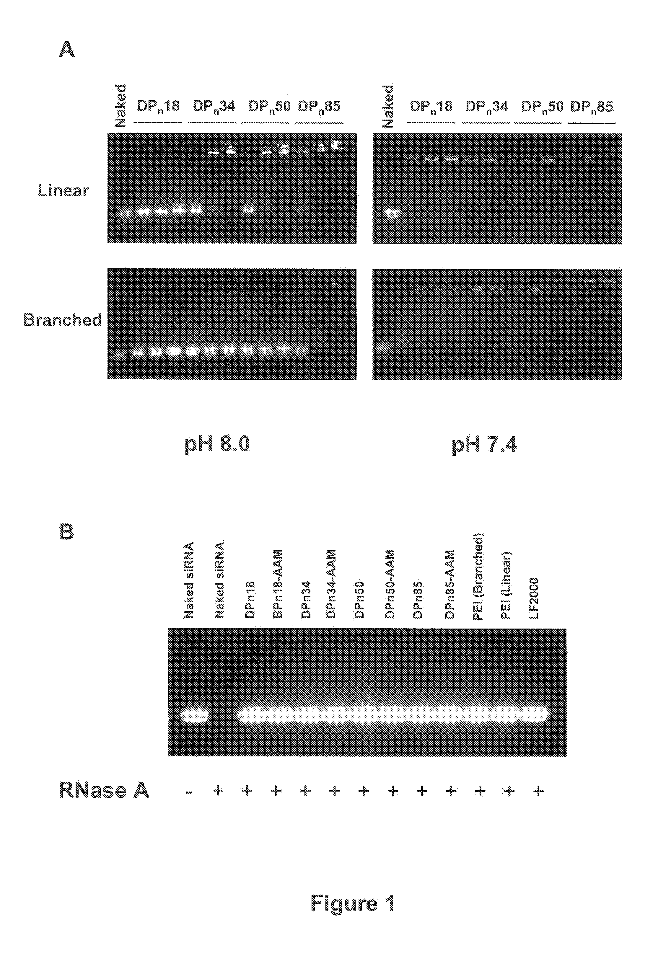 Oligonucleotide Non-Viral Delivery Systems