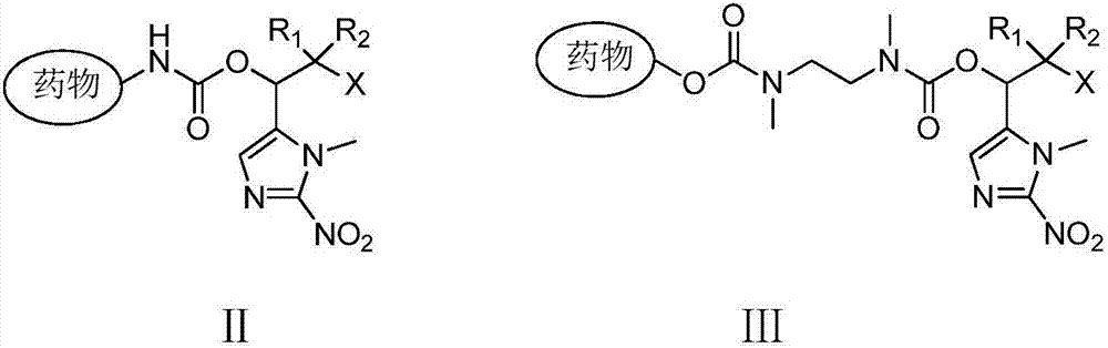 Branched-chain 2-nitroimidazole compound and application thereof in dosing system