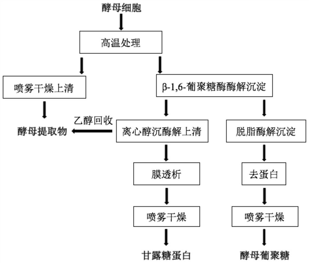 A method for co-producing yeast glucan, mannoprotein and yeast extract using β-1,6 glucanase