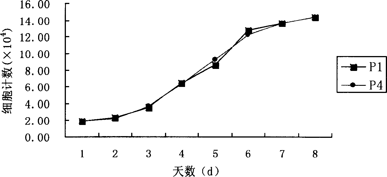 Anti-human marrow mesenchymal stem cell monoclonal antibody ZUE12 and use