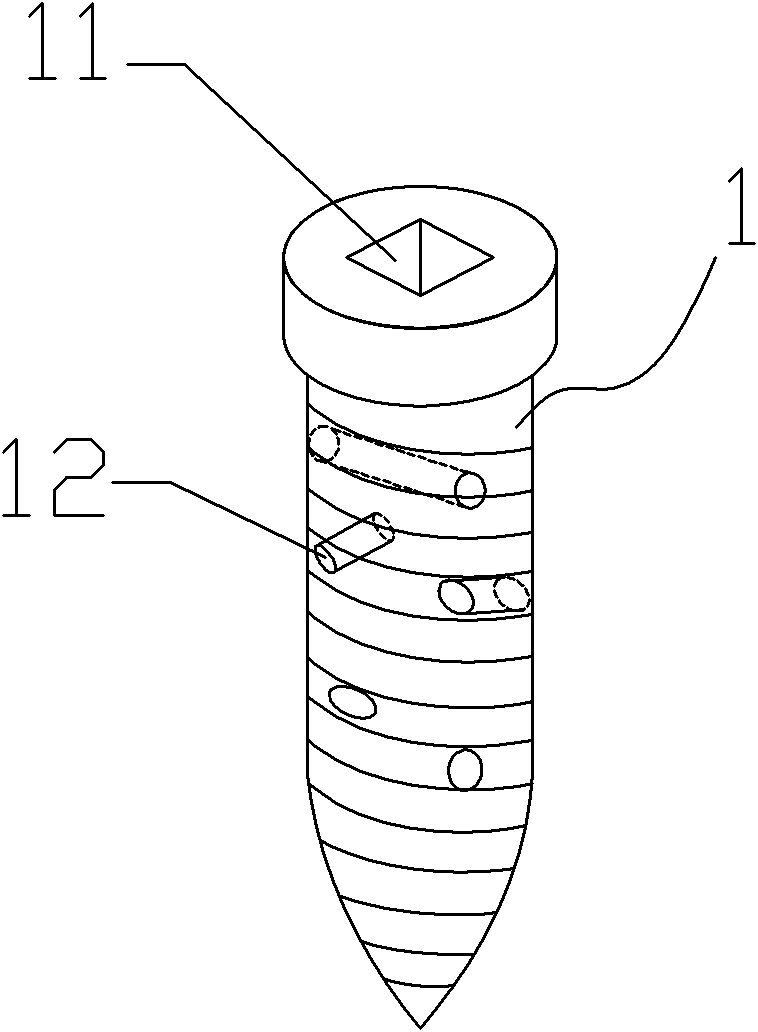 Alloy bone nail and manufacturing process thereof