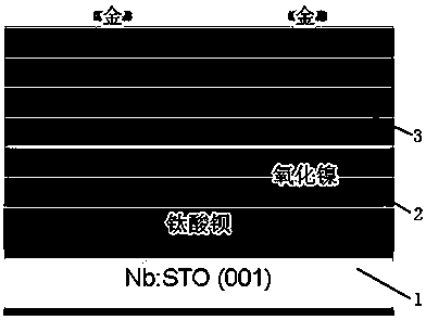 Nickel oxide and barium titanate nano composite ferroelectric film material and preparation method and application thereof