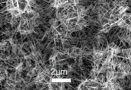 Preparation method of silicon-doped titanium oxide nanowires with super-hydrophilic performance