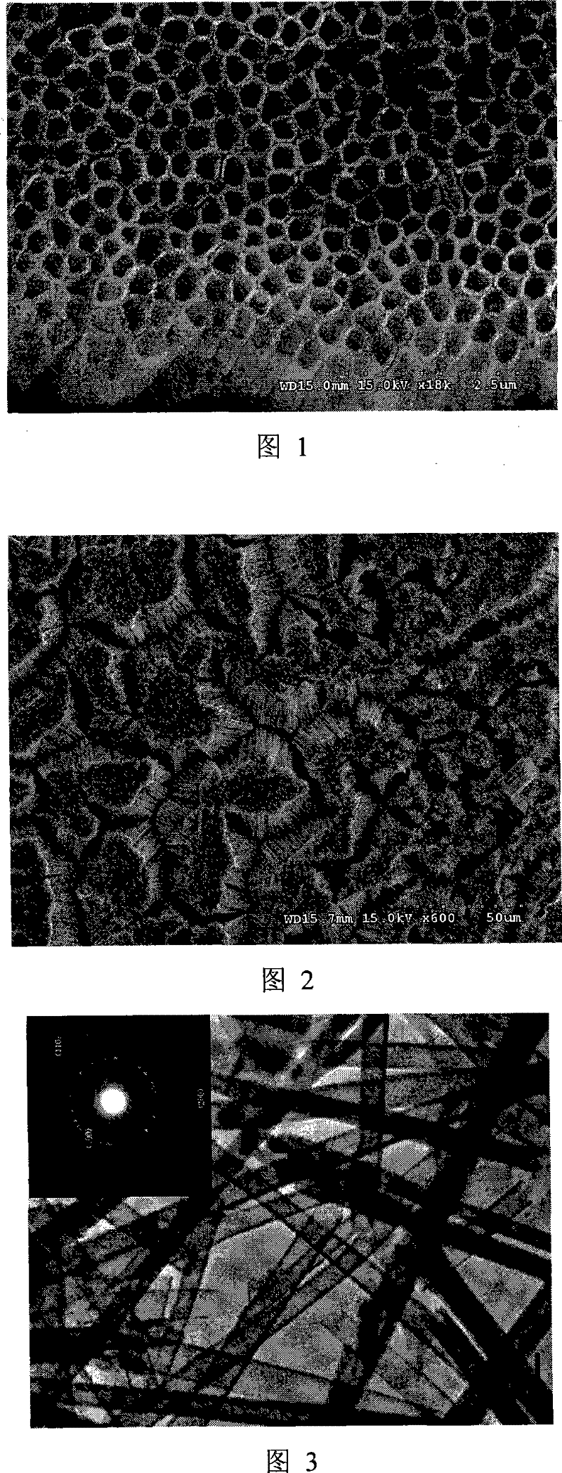 Method for preparing inorganic nano-tube by employing porous templates