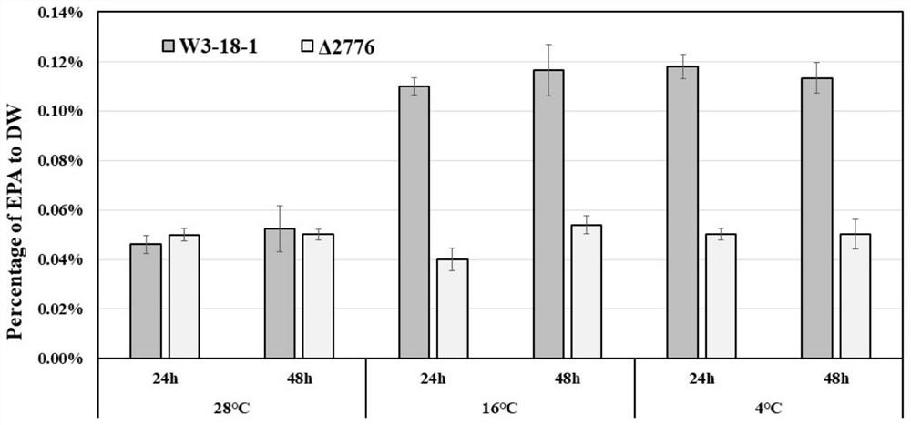 Transcriptional regulatory factor PfaR for promoting synthesis of shewanella EPA and application of transcriptional regulatory factor PfaR