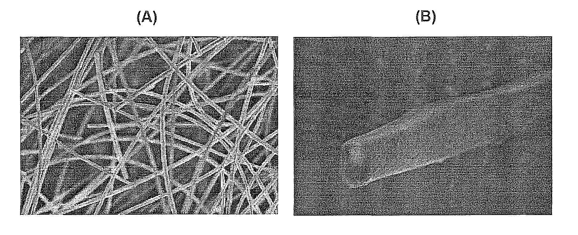 Dental composition containing organic nanotube