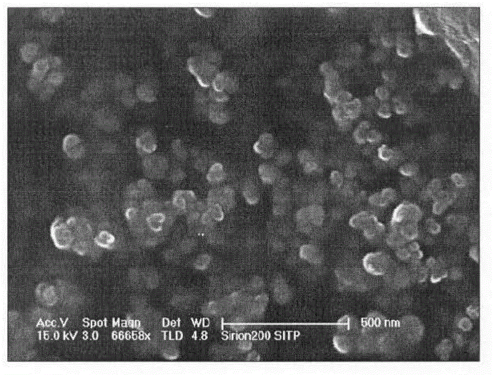 Nanometer heat dissipating paint and preparation method thereof