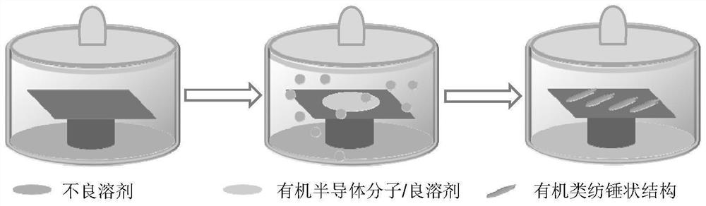 Echo wall mode organic special-shaped resonant cavity and preparation method and application thereof