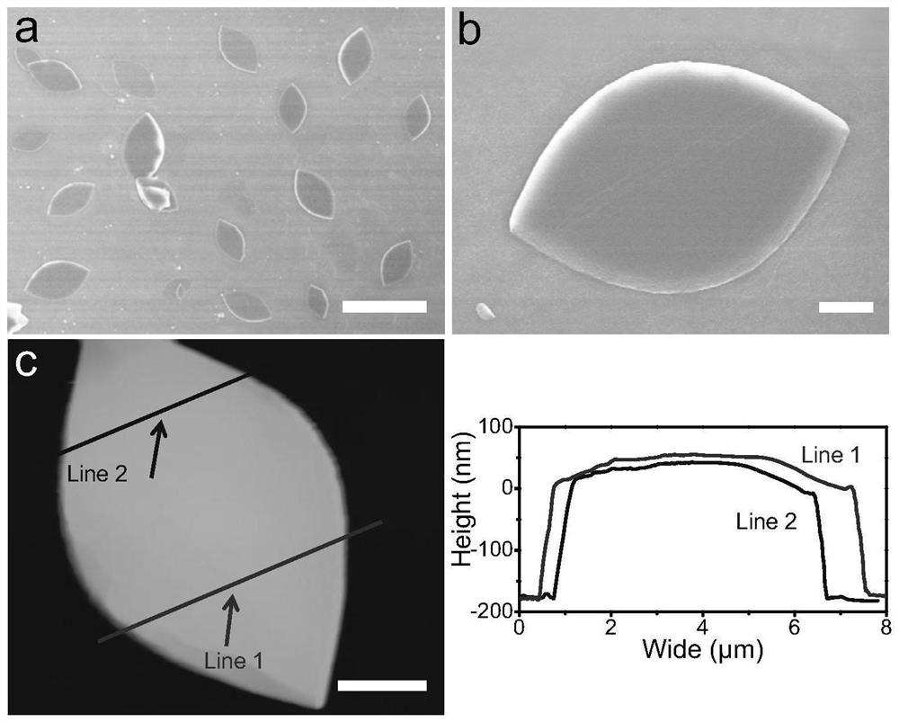 Echo wall mode organic special-shaped resonant cavity and preparation method and application thereof