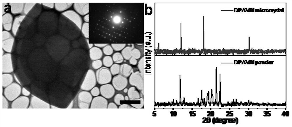 Echo wall mode organic special-shaped resonant cavity and preparation method and application thereof