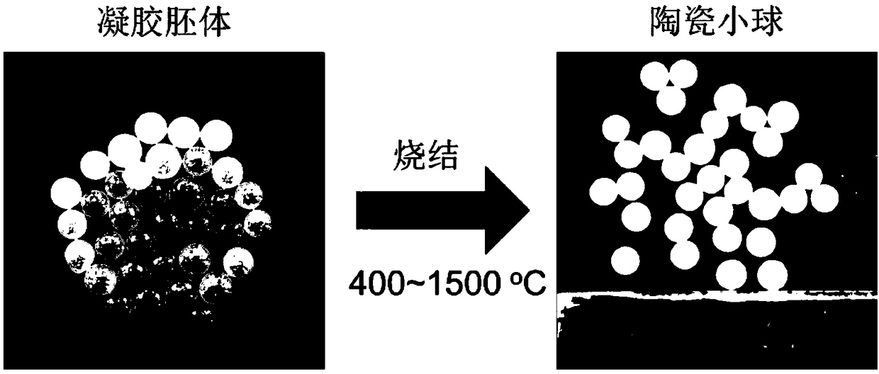 Preparation method of tritium multiplication ceramic pellet in fusion reactor solid blanket