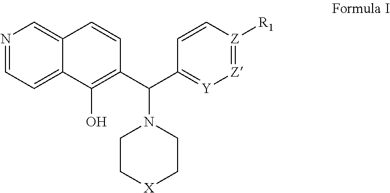 Methods and compositions useful for treating diseases involving Bcl-2 family proteins with isoquinoline and quinoline derivatives