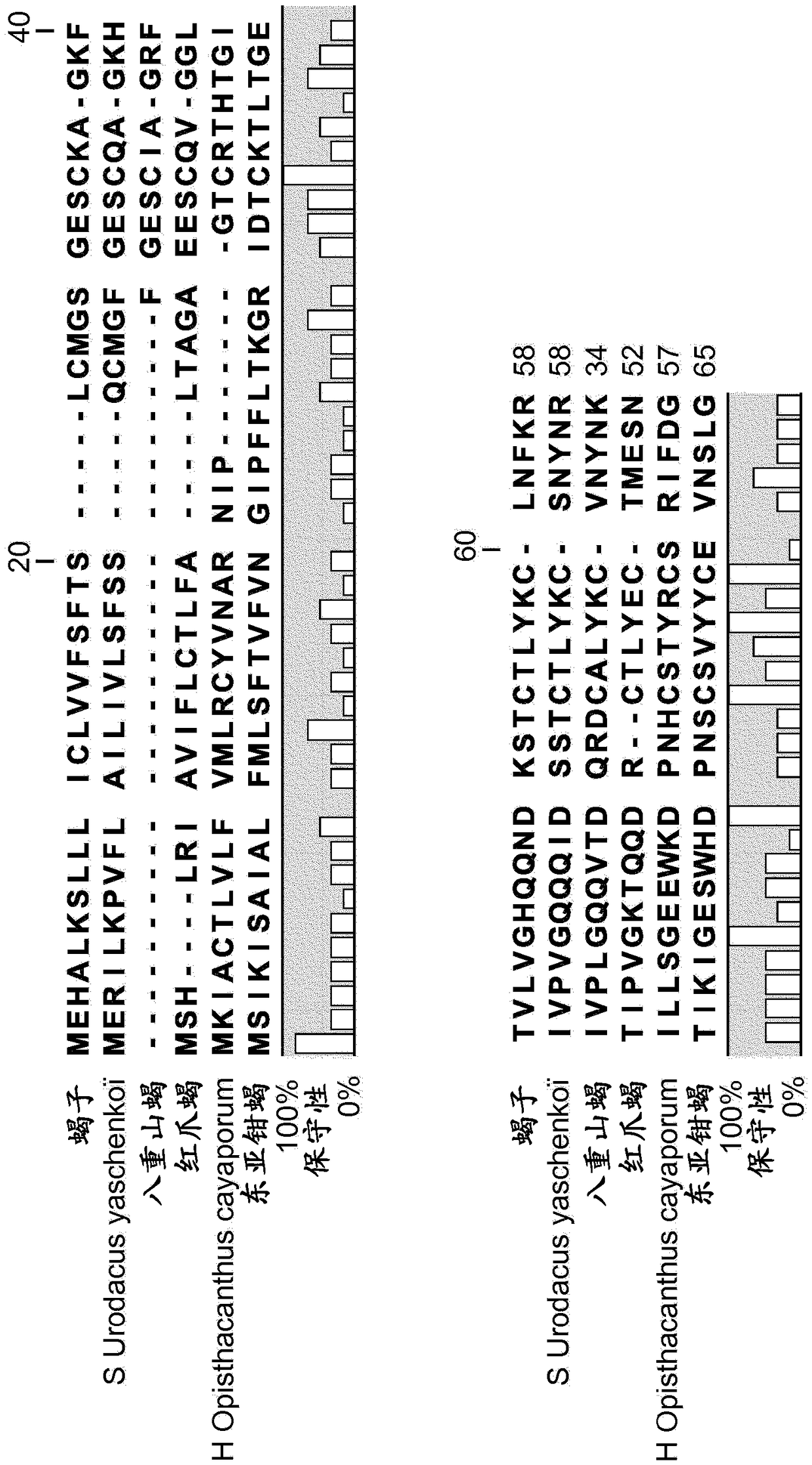 Use of la1-like peptide isolated from maurus palmatus venom as an activator of sperm motility in mammals